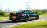Shelby GT-S 2019 года